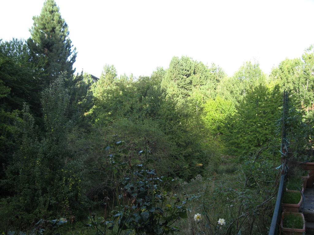 Le Tre Rose Montagna Leilighet Camigliatello Silano Rom bilde